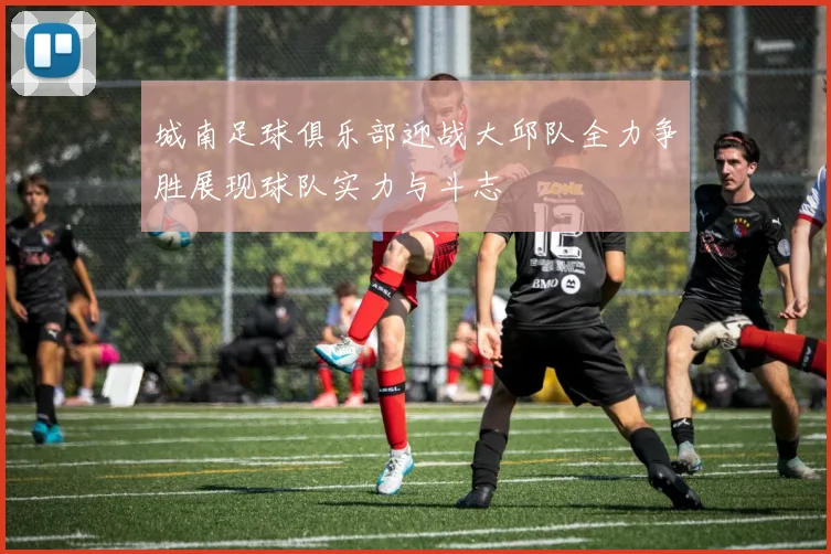 城南足球俱乐部迎战大邱队全力争胜展现球队实力与斗志
