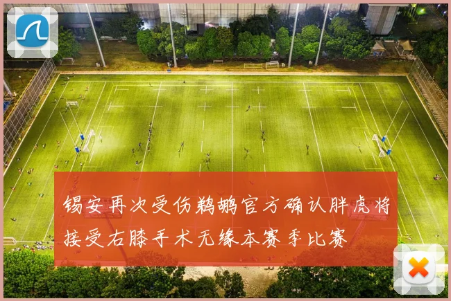 锡安再次受伤鹈鹕官方确认胖虎将接受右膝手术无缘本赛季比赛