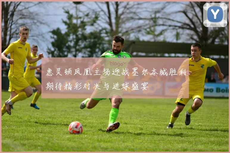 惠灵顿凤凰主场迎战墨尔本城胜利期待精彩对决与进球盛宴