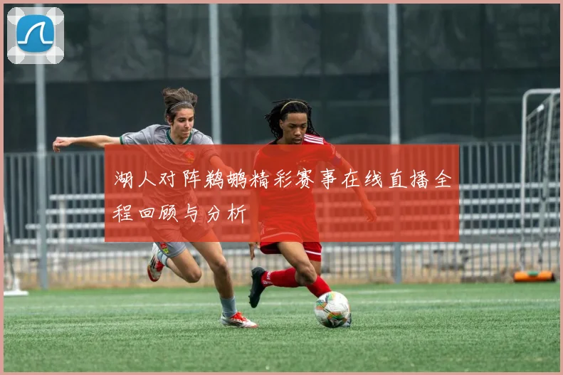湖人对阵鹈鹕精彩赛事在线直播全程回顾与分析